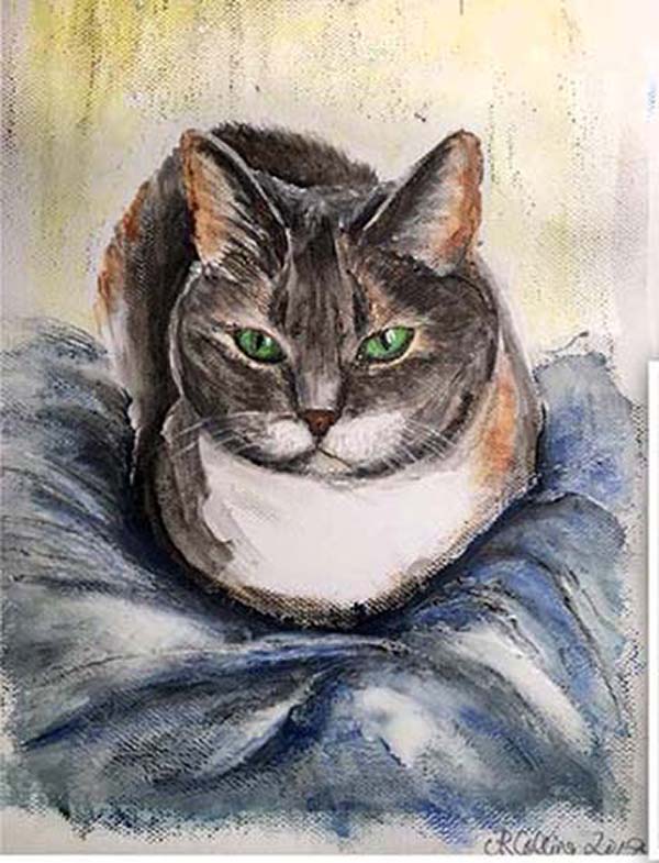 Collingarts-muotokuva-akryylimaalaus-kissa
