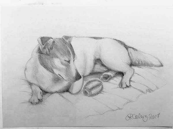 Collingarts-muotokuva-piirros-koira