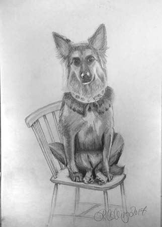 Collingarts-muotokuva-piirros-koira