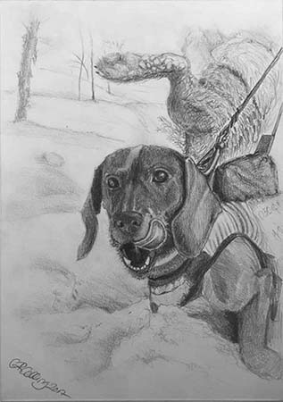Collingarts-muotokuva-piirros-koira