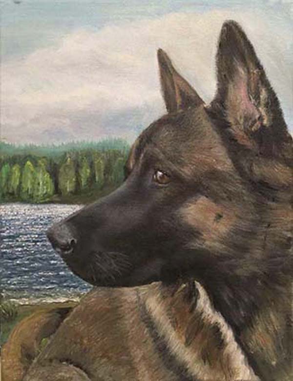 Collingarts-muotokuva-öljyvärimaalaus-koira