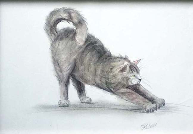 Collingarts-muotokuva-piirros-kissa