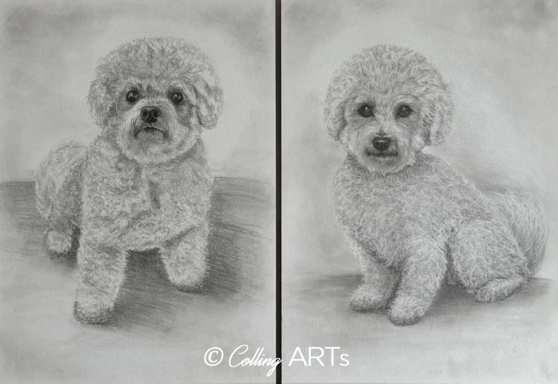 Collingarts-muotokuva-piirros-kaksi-koiraa